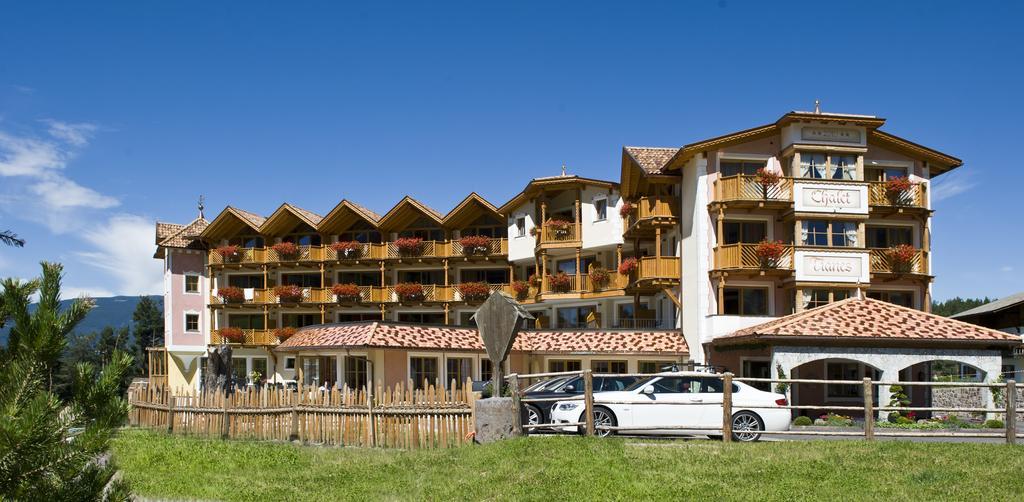 Hotel Chalet Tianes - Alpine Relax Castelrotto Esterno foto